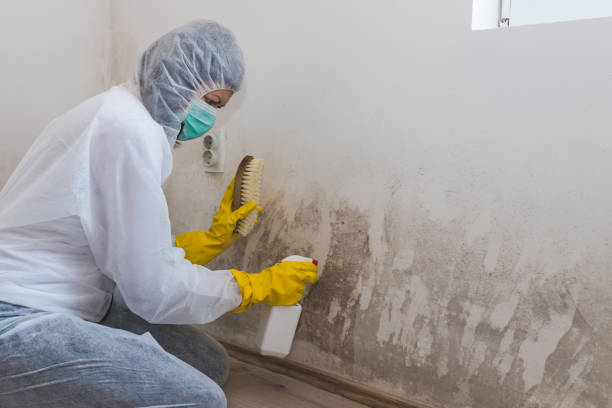 Best Residential Mold Removal  in Garfield, NJ