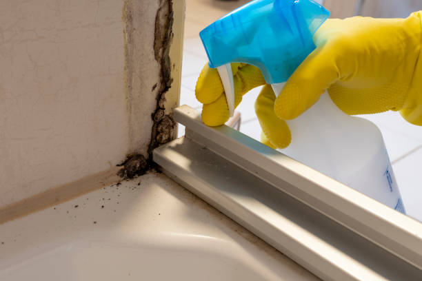 Best Professional Mold Removal  in Garfield, NJ