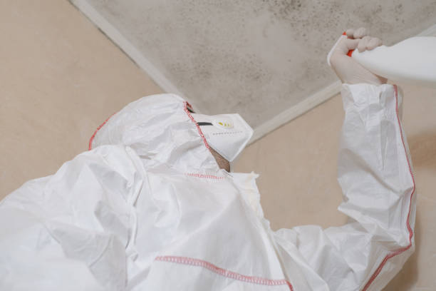 Best Attic Mold Removal  in Garfield, NJ