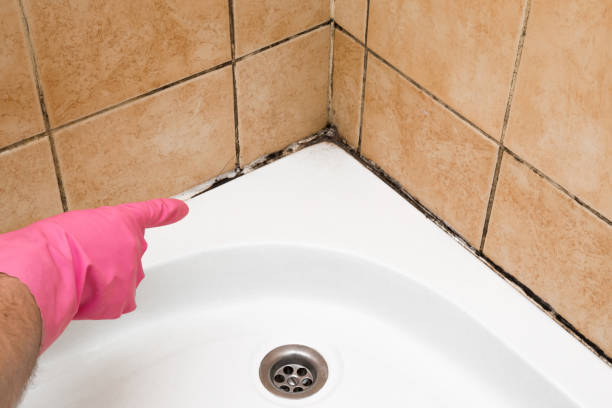 Professional Mold Removal in Garfield, NJ